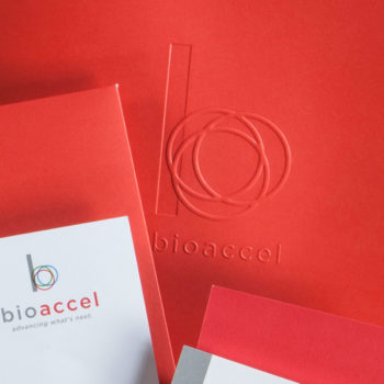 Business system showcasing BioAccel’s rebranded look